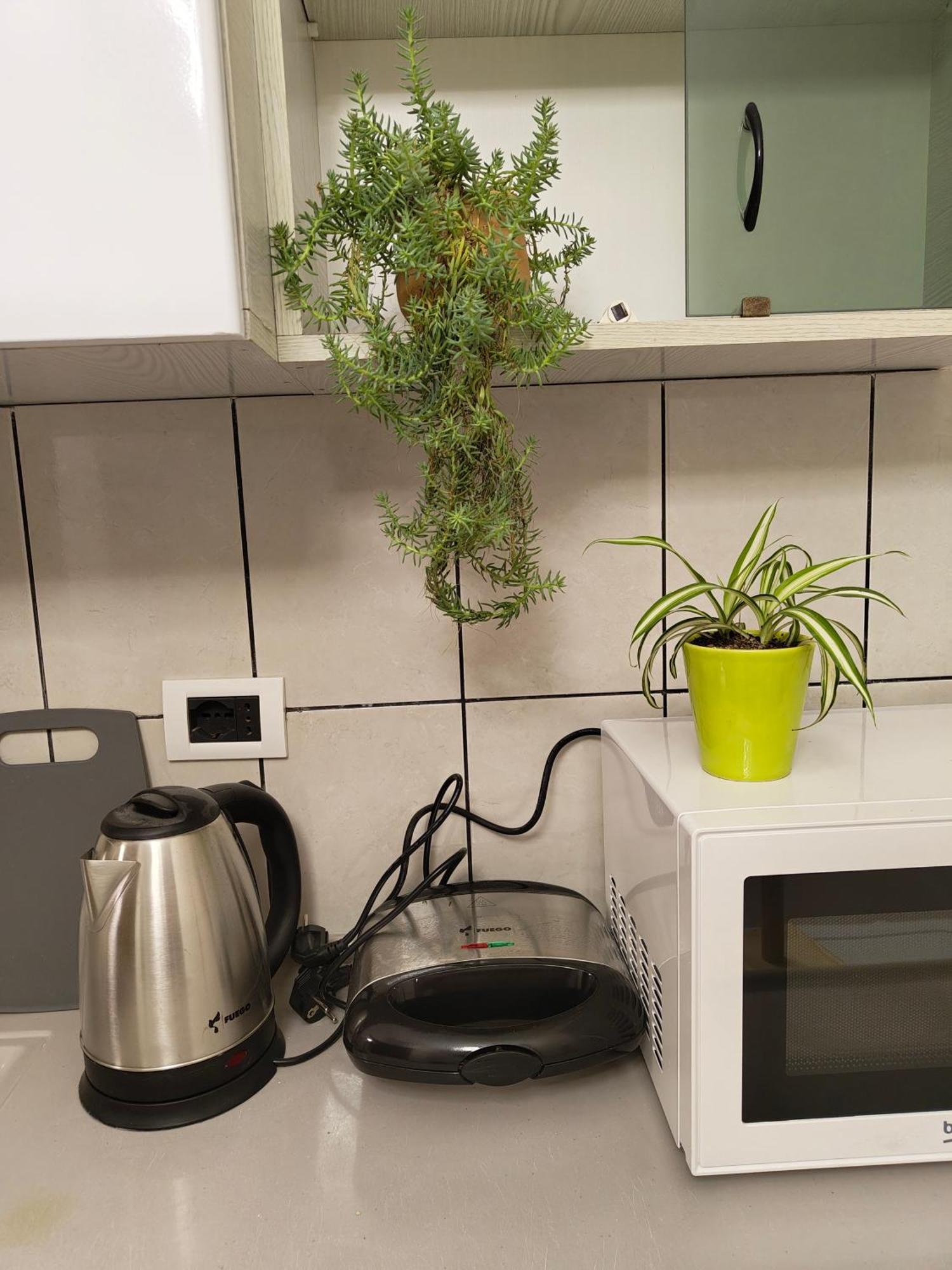 Erli Apartment Shkoder Luaran gambar